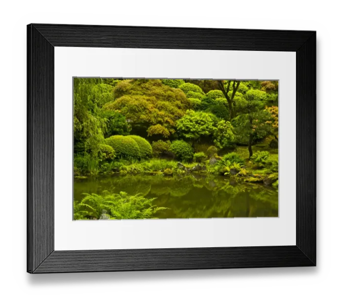 Framed Print : Summer, Upper Pond, Strolling Garden, Portland Japanese Garden, Portland, Oregon, USA