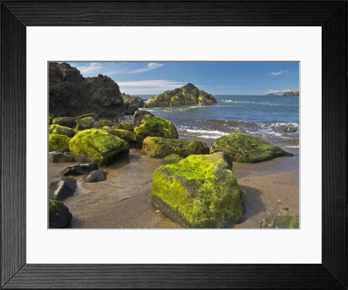 Framed Print : moss-covered rocks, Fogarty Creek State Recreation Area, Depoe bay, Oregon, USA Framed Print : moss-covered rocks, Fogarty Creek State Recreation Area, Depoe bay, Oregon, USA