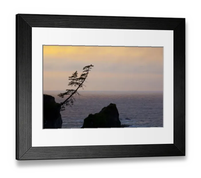 Framed Print : OR, Shore Acres State Park, view at sunset Framed Print : OR, Shore Acres State Park, view at sunset