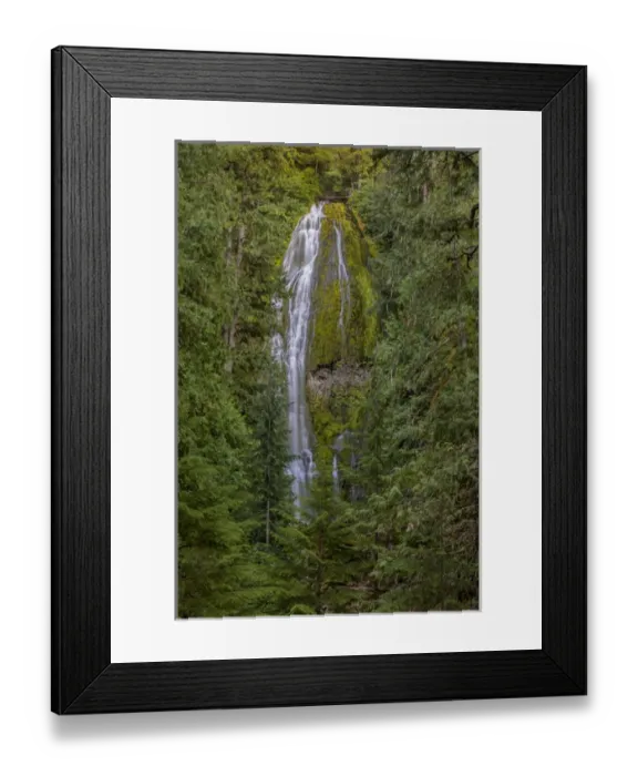 Framed Print : Proxy Falls in the Three Sisters Wilderness, Oregon, USA Framed Print : Proxy Falls in the Three Sisters Wilderness, Oregon, USA