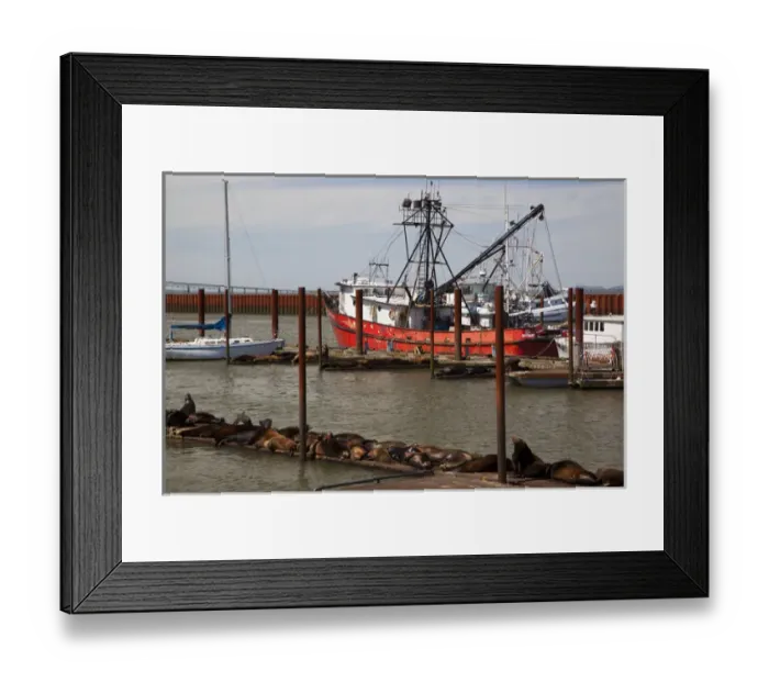 Framed Print : OR, Astoria, East Basin Moorage, Columbia River; Fishing boats and sail boat, with Framed Print : OR, Astoria, East Basin Moorage, Columbia River; Fishing boats and sail boat, with