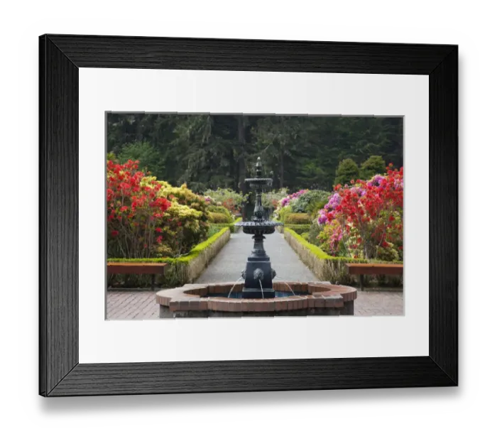 Framed Print : OR, Shore Acres State Park, Shore Acres Garden, pathway and rhododendrons with fountain Framed Print : OR, Shore Acres State Park, Shore Acres Garden, pathway and rhododendrons with fountain
