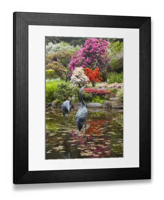 Framed Print : OR, Shore Acres State Park, Shore Acres Garden, flowers and pond with sculpture Framed Print : OR, Shore Acres State Park, Shore Acres Garden, flowers and pond with sculpture