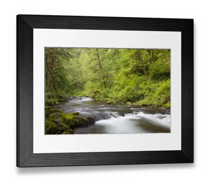 Framed Print : OR, Columbia River Gorge National Scenic Area, Tanner Creek Framed Print : OR, Columbia River Gorge National Scenic Area, Tanner Creek