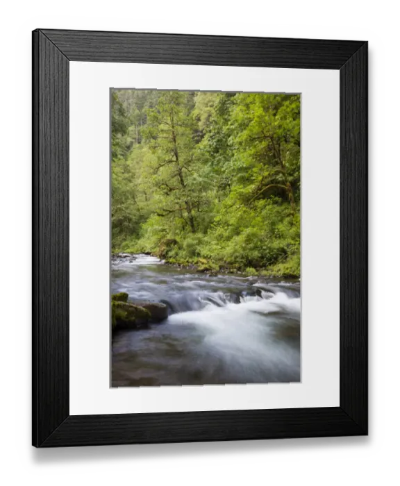 Framed Print : OR, Columbia River Gorge National Scenic Area, Tanner Creek Framed Print : OR, Columbia River Gorge National Scenic Area, Tanner Creek