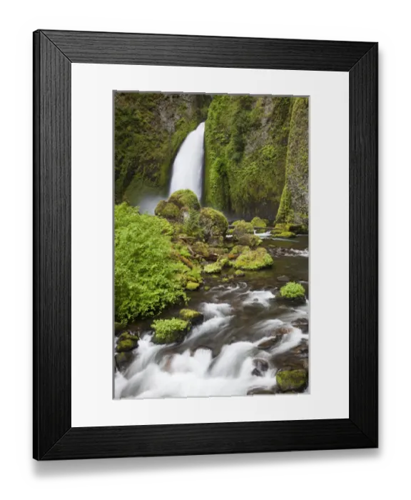 Framed Print : OR, Columbia River Gorge National Scenic Area, Wahclella Falls, Tanner Creek drops Framed Print : OR, Columbia River Gorge National Scenic Area, Wahclella Falls, Tanner Creek drops