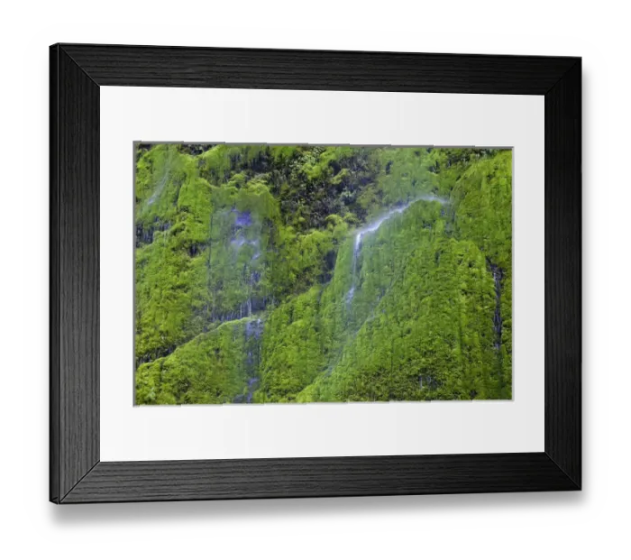 Framed Print : OR, Columbia River Gorge National Scenic Area, Water softly cascading over moss covered Framed Print : OR, Columbia River Gorge National Scenic Area, Water softly cascading over moss covered