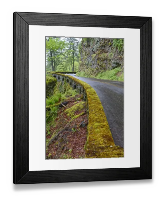 Framed Print : OR, Columbia River Gorge National Scenic Area, Historic Columbia Gorge Highway Framed Print : OR, Columbia River Gorge National Scenic Area, Historic Columbia Gorge Highway