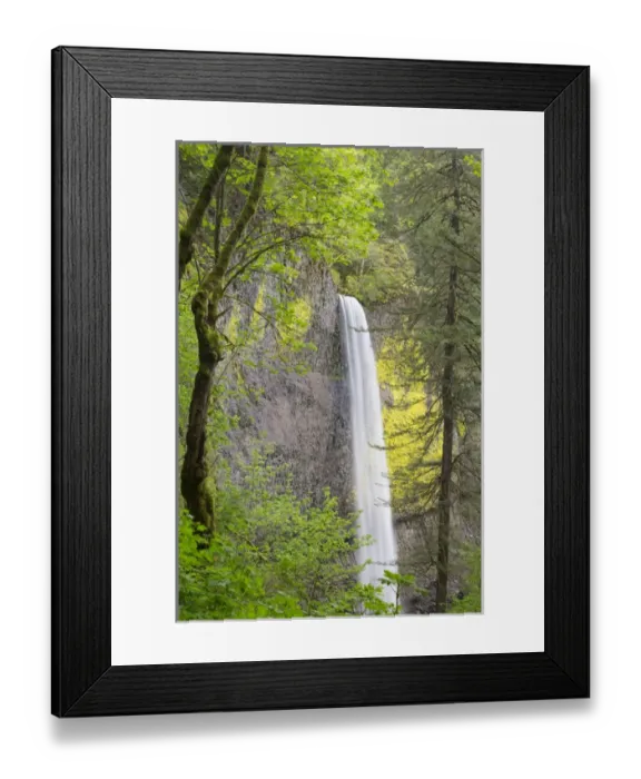 Framed Print : OR, Columbia River Gorge National Scenic Area, Latourell Falls