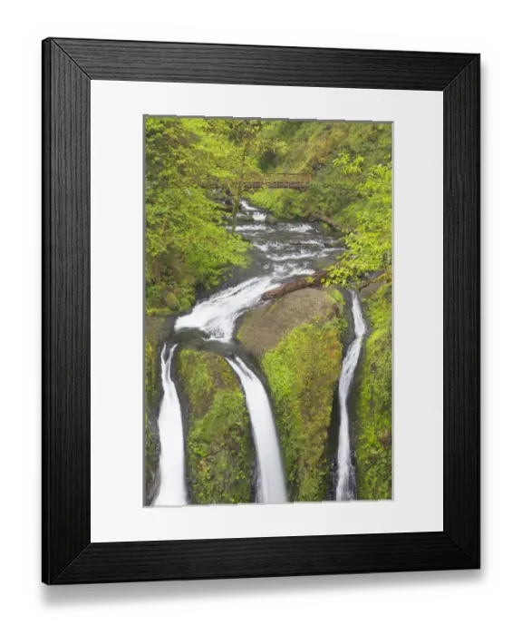 Framed Print : OR, Columbia River Gorge National Scenic Area, Triple Falls Framed Print : OR, Columbia River Gorge National Scenic Area, Triple Falls