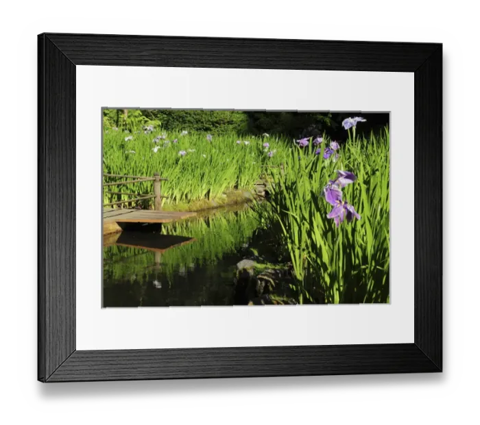 Framed Print : Summer in the Portland Japanese Garden, Portland, Oregon, USA Framed Print : Summer in the Portland Japanese Garden, Portland, Oregon, USA