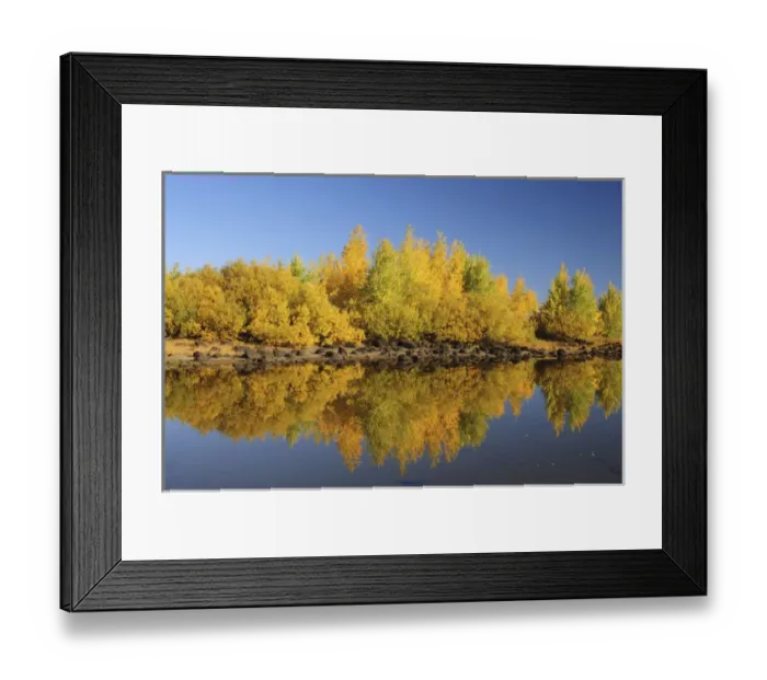 Framed Print : Honeymoon Lake Reflections, Steens Mountain, Frenchglen, Oregon, USA Framed Print : Honeymoon Lake Reflections, Steens Mountain, Frenchglen, Oregon, USA