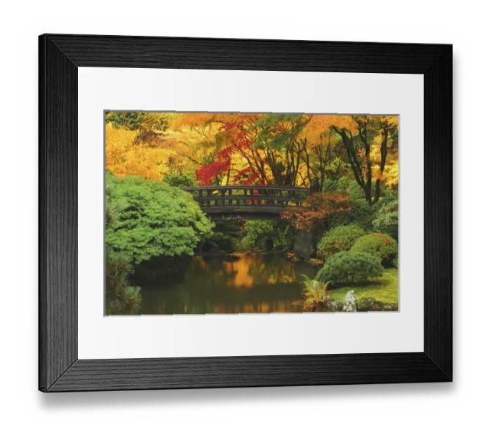 Framed Print : Moon Bridge in Autumn: Portland Japanese Garden, Portland, Oregon, USA