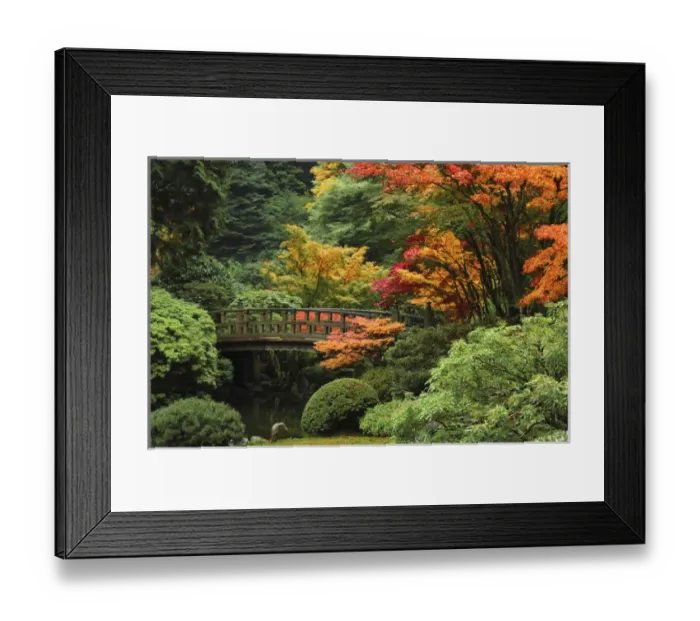 Framed Print : Moon Bridge in Autumn: Portland Japanese Garden; Portland; Oregon; USA