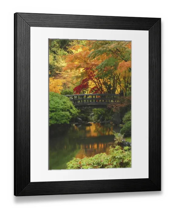 Framed Print : Moon Bridge in Autumn: Portland Japanese Garden, Portland, Oregon, USA Framed Print : Moon Bridge in Autumn: Portland Japanese Garden, Portland, Oregon, USA