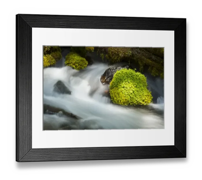 Framed Print : Detail; Clearwater Creek; Clearwater Falls; Umpqua National Forest; Oregon; USA Framed Print : Detail; Clearwater Creek; Clearwater Falls; Umpqua National Forest; Oregon; USA