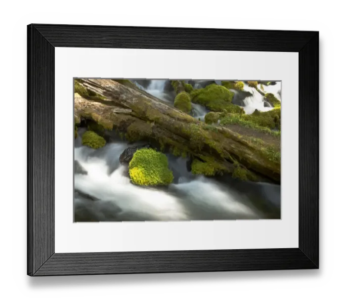 Framed Print : Detail, Clearwater Creek, Clearwater Falls, Umpqua National Forest, Oregon, USA Framed Print : Detail, Clearwater Creek, Clearwater Falls, Umpqua National Forest, Oregon, USA