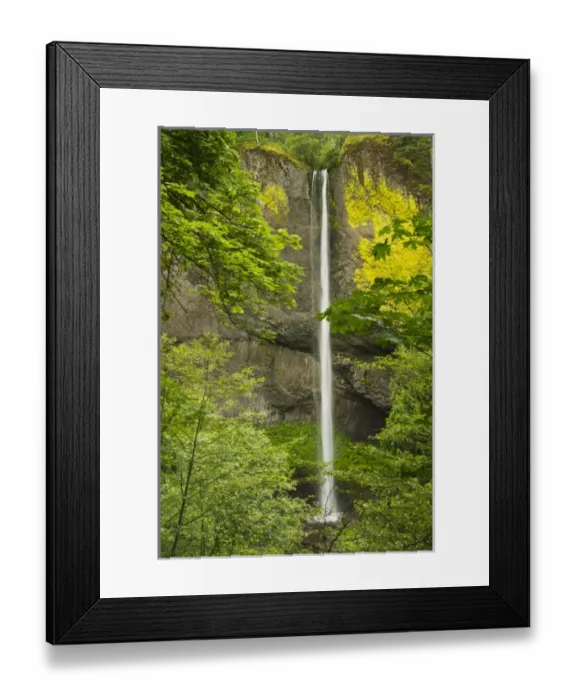 Framed Print : Latourell Falls, Columbia Gorge, Oregon, USA Framed Print : Latourell Falls, Columbia Gorge, Oregon, USA