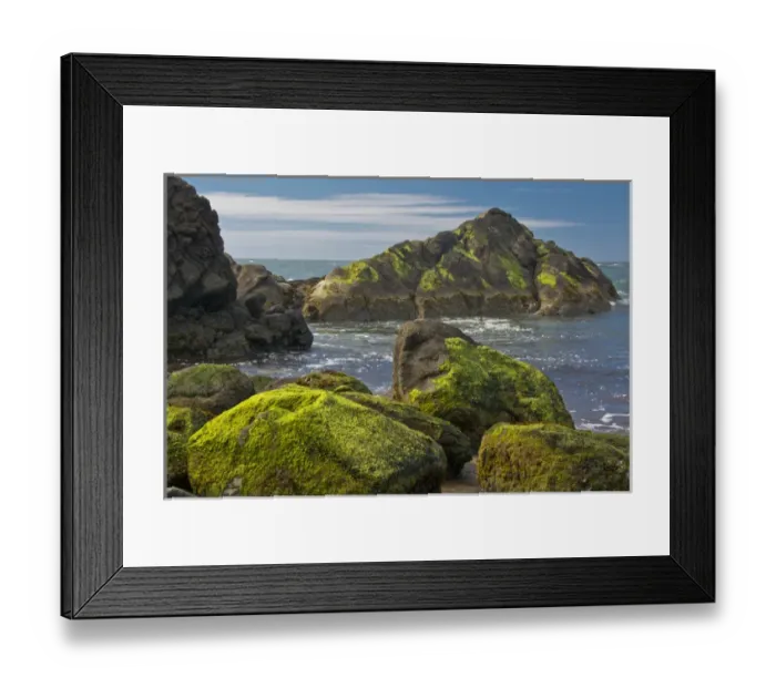 Framed Print : moss-covered rocks, Fogarty Creek State Recreation Area, Depoe bay, Oregon, USA Framed Print : moss-covered rocks, Fogarty Creek State Recreation Area, Depoe bay, Oregon, USA