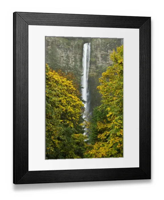 Framed Print : autumn, Multnomah Falls, Columbia Gorge, Oregon, USA