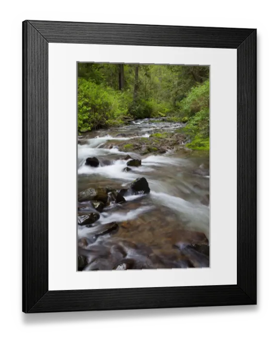 Framed Print : OR, Oregon Coast, Oswald West State Park, Necarney Creek Framed Print : OR, Oregon Coast, Oswald West State Park, Necarney Creek