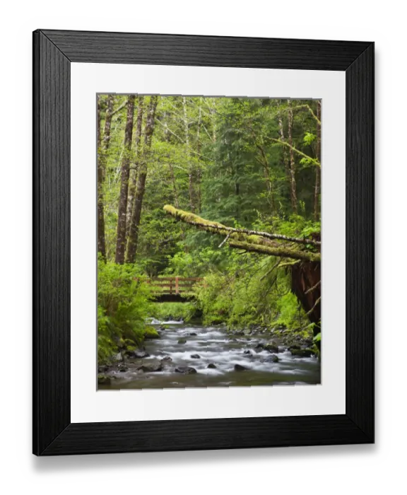Framed Print : OR, Oregon Coast, Oswald West State Park, Short Sand Creek Framed Print : OR, Oregon Coast, Oswald West State Park, Short Sand Creek
