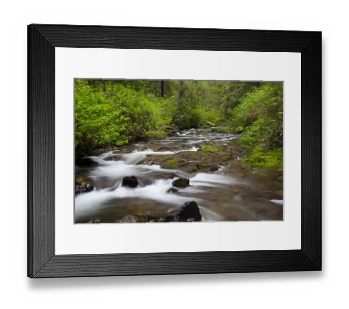 Framed Print : OR, Oregon Coast, Oswald West State Park, Necarney Creek
