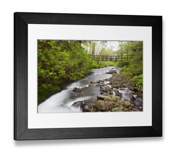 Framed Print : OR, Oregon Coast, Oswald West State Park, Necarney Creek, and suspension bridge