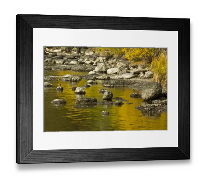 Framed Print : golden reflections, Dillon Falls area, Deschutes River, Descutes National Forest