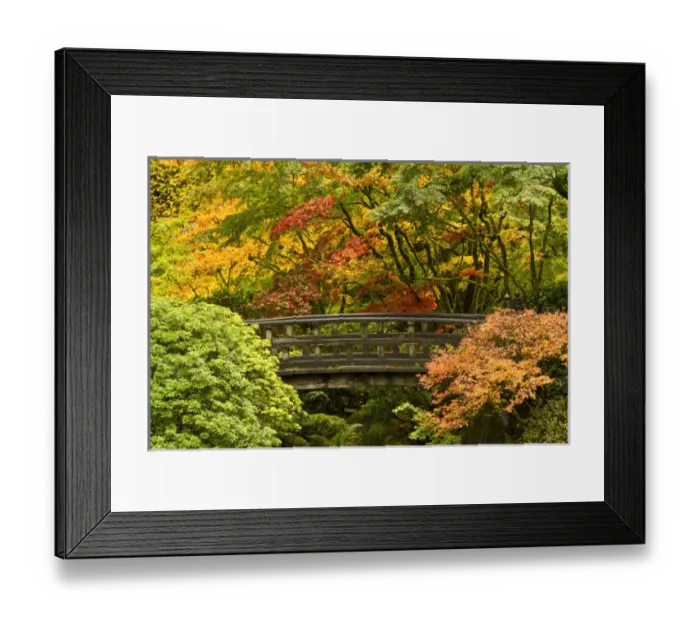 Framed Print : autumn, Moon Bridge, Portland Japanese Garden, Portland, Oregon, USA Framed Print : autumn, Moon Bridge, Portland Japanese Garden, Portland, Oregon, USA