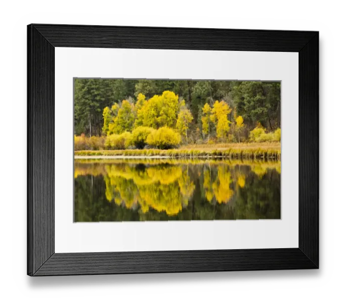 Framed Print : autumn reflections, Aspen Camp, Deschutes River, Deschutes National Forest, Oregon, USA