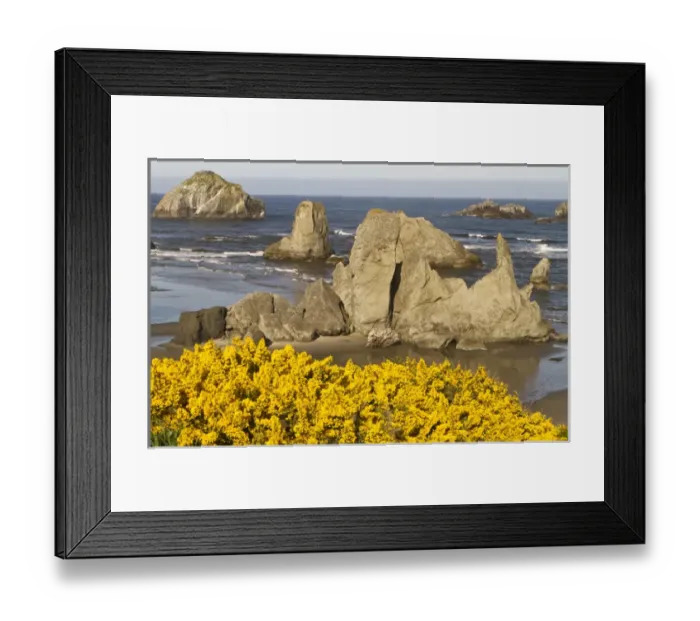 Framed Print : Coastal views, Bandon, Oregon Framed Print : Coastal views, Bandon, Oregon