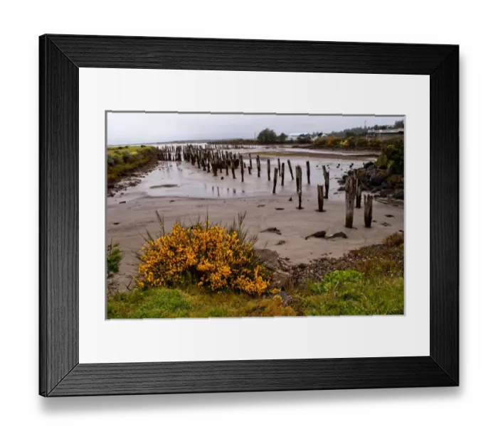 Framed Print : USA, Oregon, Bandon, Old Pilings
