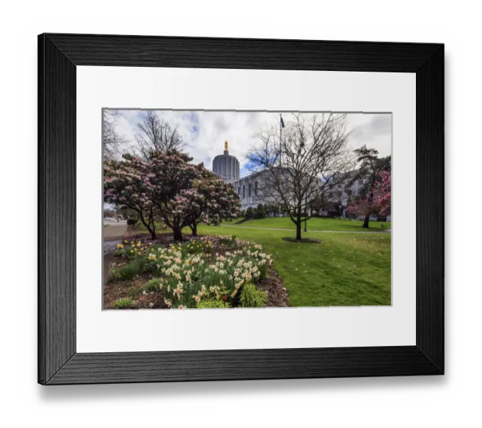 Framed Print : USA, Oregon, Salem, state capitol Framed Print : USA, Oregon, Salem, state capitol
