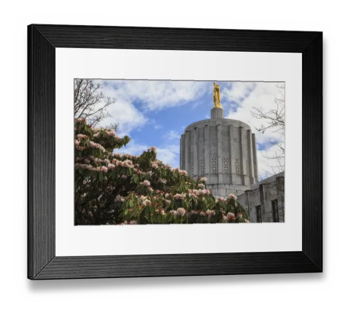 Framed Print : USA, Oregon, Salem, state capitol Framed Print : USA, Oregon, Salem, state capitol