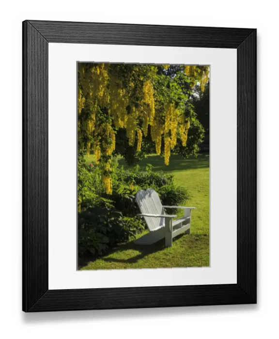 Framed Print : USA, Oregon, Keizer, Schreiners Iris Gardens, bench in the garden