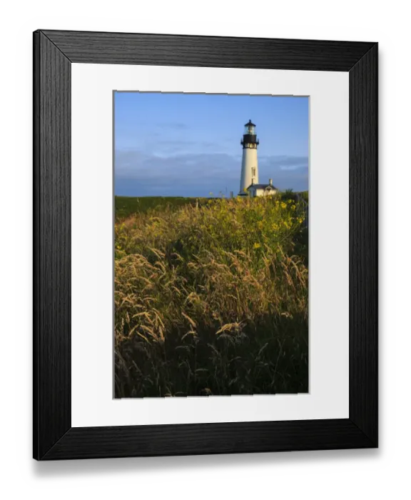 Framed Print : USA, Oregon, Newport, Yaquina Head, historic Yaquina Head Lighthouse Framed Print : USA, Oregon, Newport, Yaquina Head, historic Yaquina Head Lighthouse