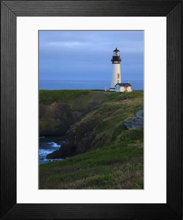 Framed Print : USA, Oregon, Newport, Yaquina Head, NLCS, the Yaquina Head Lighthouse Framed Print : USA, Oregon, Newport, Yaquina Head, NLCS, the Yaquina Head Lighthouse