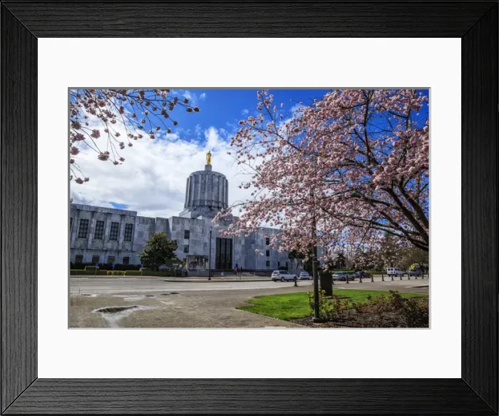 Framed Print : USA, Oregon, Salem, state capitol and Cherry Blossoms Framed Print : USA, Oregon, Salem, state capitol and Cherry Blossoms