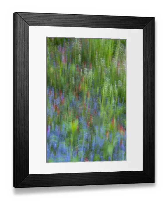 Framed Print : USA, Pennsylvania, Wayne, Chanticleer Garden. Abstract of blooming flowers in spring garden Framed Print : USA, Pennsylvania, Wayne, Chanticleer Garden. Abstract of blooming flowers in spring garden