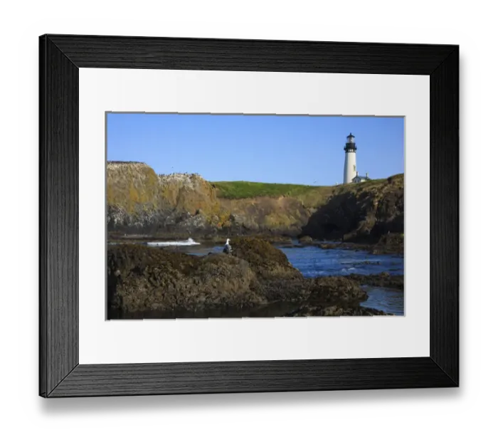 Framed Print : USA, Oregon, Newport, Yaquina Head, NLCS, the Yaquina Head Lighthouse