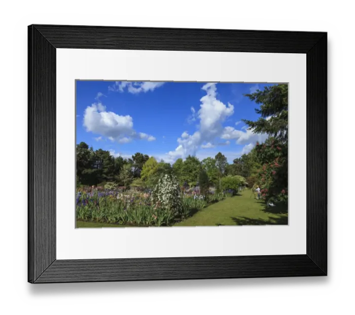 Framed Print : USA, Oregon, Keizer, Schreiners Iris Gardens, artist working in the garden Framed Print : USA, Oregon, Keizer, Schreiners Iris Gardens, artist working in the garden