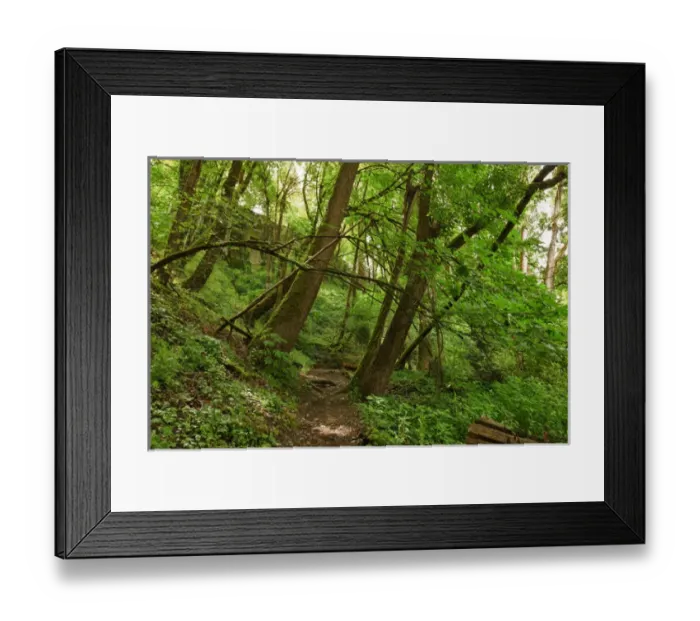 Framed Print : USA, Oregon, Portland, Oak Bottoms Wildlife Refuge, the trail, Digital Composite, HDR