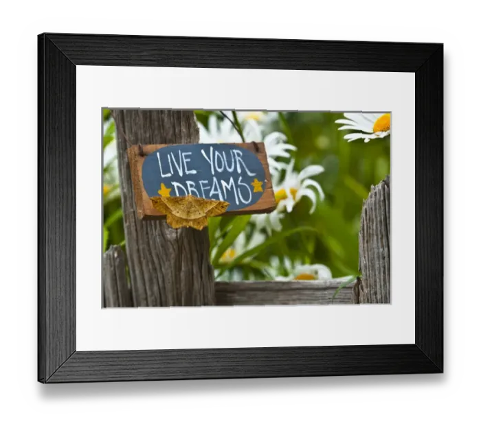 Framed Print : USA, Pennsylvania. Moth on garden sign. Credit as: Nancy Rotenberg / Jaynes Gallery Framed Print : USA, Pennsylvania. Moth on garden sign. Credit as: Nancy Rotenberg / Jaynes Gallery