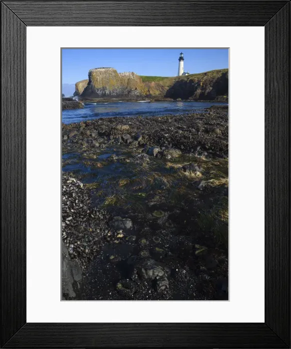 Framed Print : USA, Oregon, Newport, Yaquina Head, historic Yaquina Head Lighthouse and the tidepools Framed Print : USA, Oregon, Newport, Yaquina Head, historic Yaquina Head Lighthouse and the tidepools