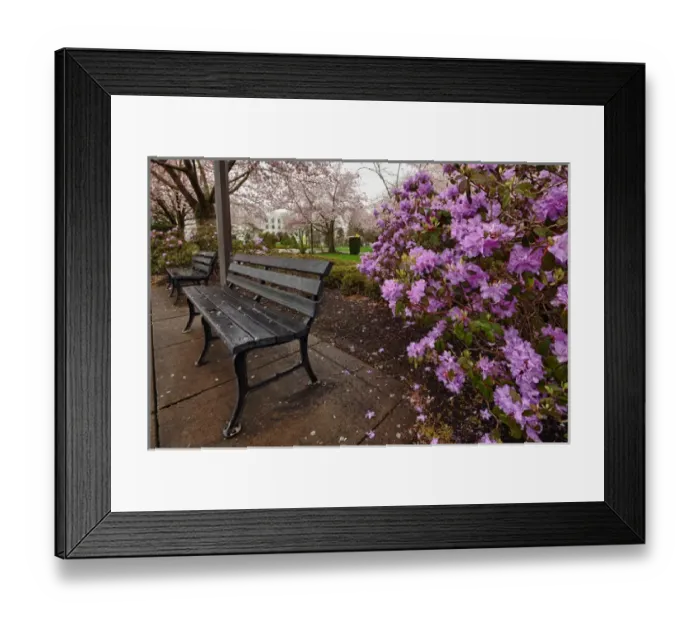 Framed Print : USA, Oregon, Salem, State Capitol State Park in early spring Framed Print : USA, Oregon, Salem, State Capitol State Park in early spring