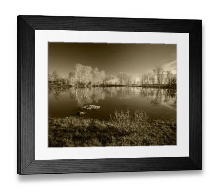 Framed Print : USA, Oregon, Steens Mountain National Recreation Lands, View of Aspen and willow Framed Print : USA, Oregon, Steens Mountain National Recreation Lands, View of Aspen and willow