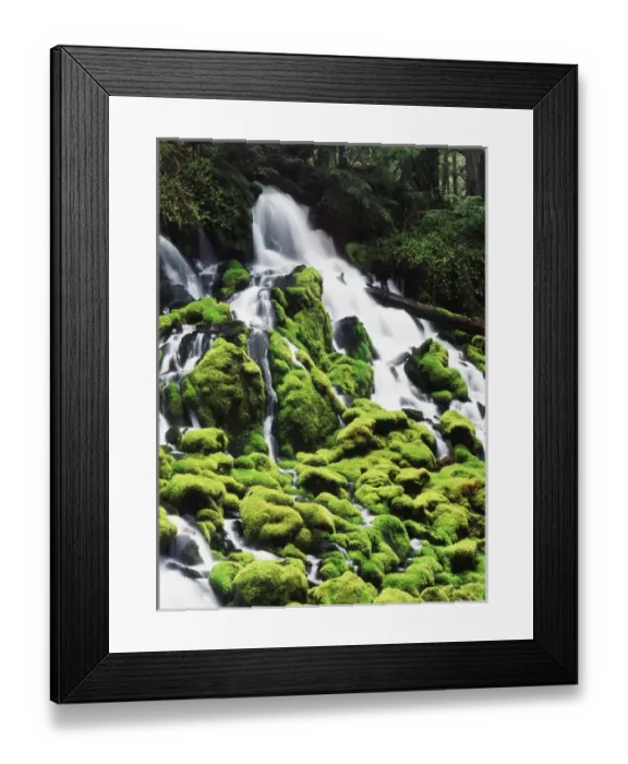 Framed Print : USA, Oregon, View of mossy Umpqua National Forest