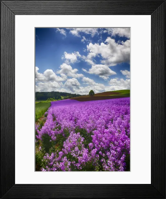 Framed Print : North America; USA; Oregon; Willamette Valley; Farming in the Willamette Valley of Oregon Framed Print : North America; USA; Oregon; Willamette Valley; Farming in the Willamette Valley of Oregon