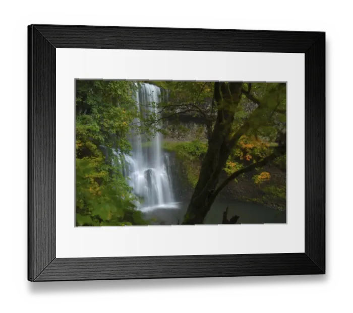 Framed Print : Fall Foliage, Lower South Falls, Silver Falls State Park, Oregon Framed Print : Fall Foliage, Lower South Falls, Silver Falls State Park, Oregon